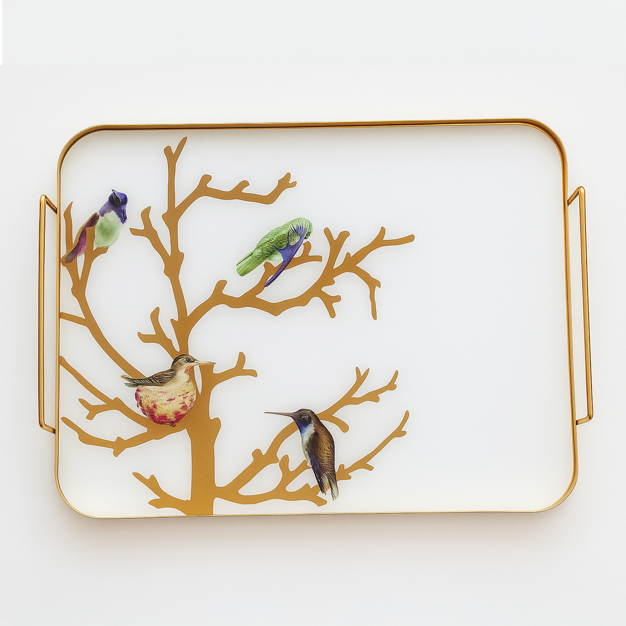 Plateau Gm Oiseau