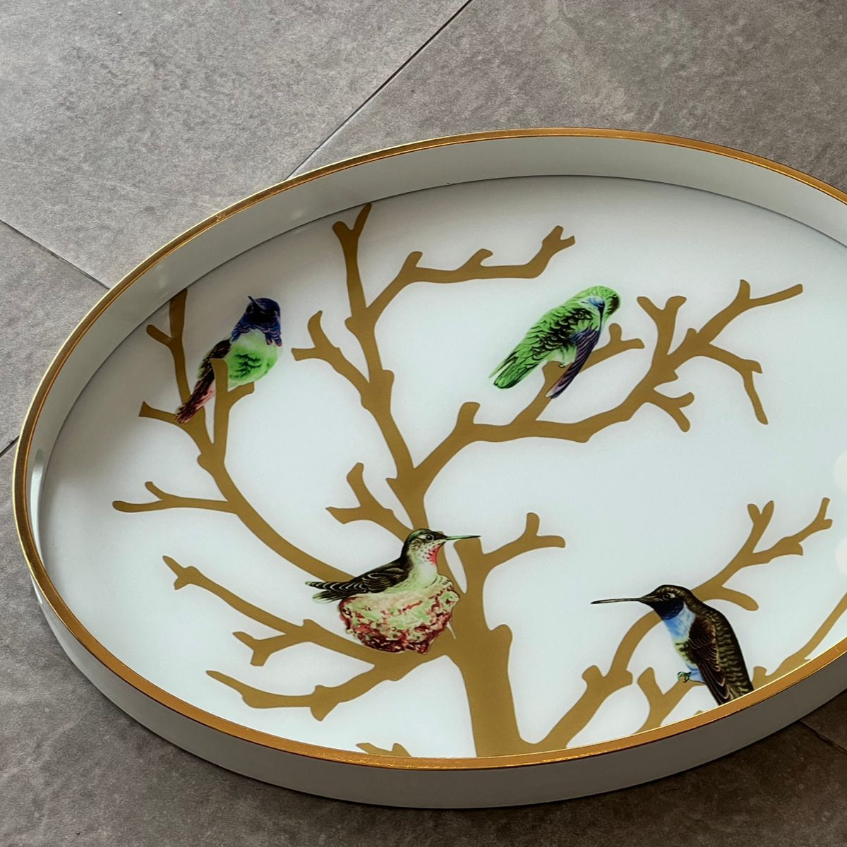 Plateau Ovale – Oiseaux